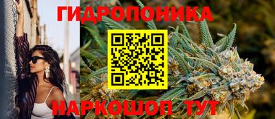 стаф Изобильный