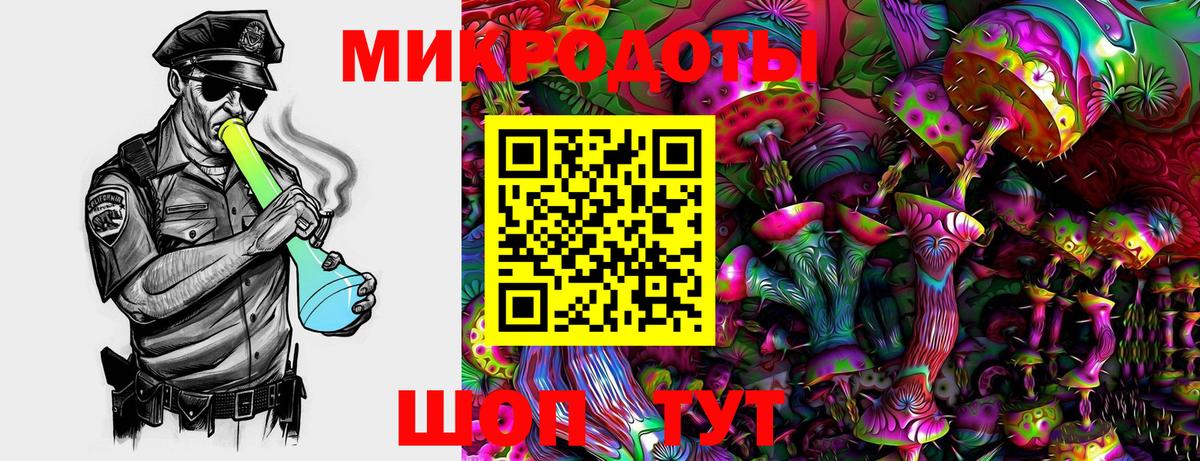 Галлюциногенные грибы Psilocybine cubensis Михайловск
